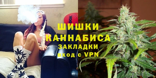 дурь Аркадак
