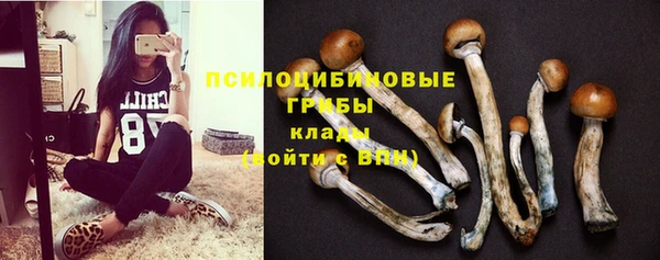 дурь Аркадак