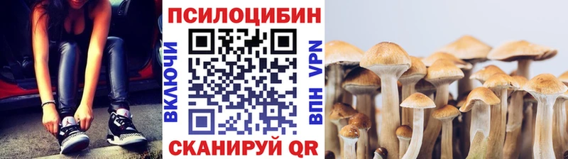 Галлюциногенные грибы Magic Shrooms Печоры