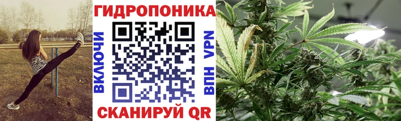 Марихуана гибрид  как найти закладки  Печоры 
